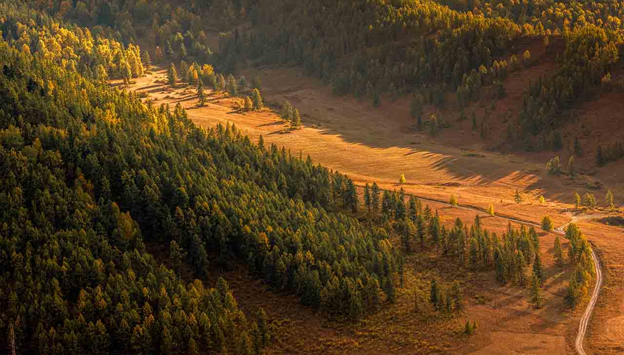 Outdoor Escapes: Die Kraft der Natur für Gesundheit und Wohlbefinden freisetzen